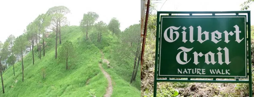 Gilbert Trail