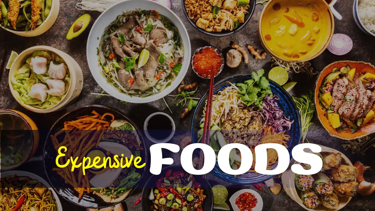 Top 10 Most Expensive Foods in the World: Complete List
